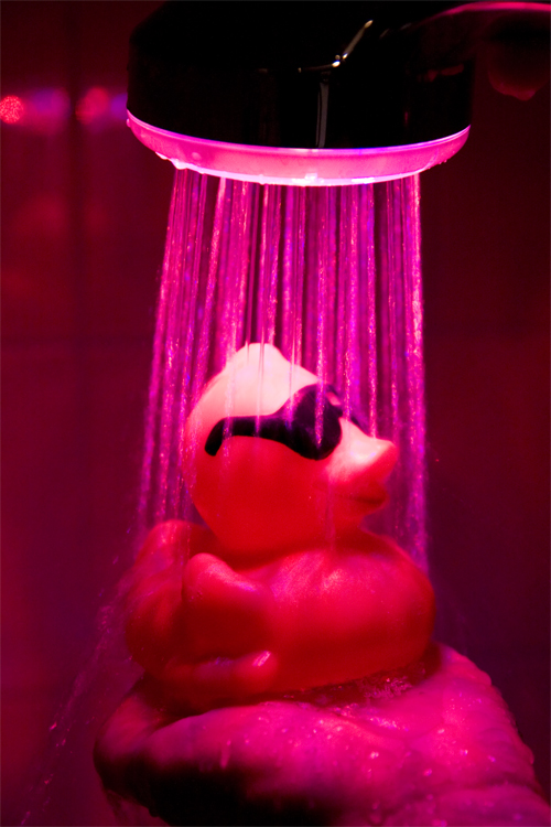 ente_rosa_led_duschkopf1