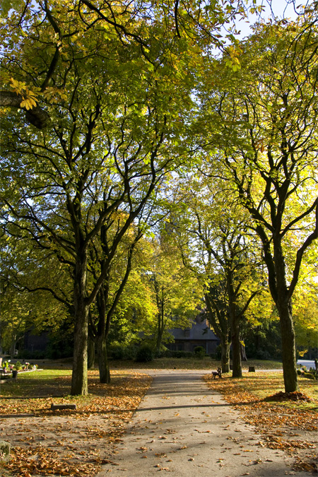 Herbst_Allee