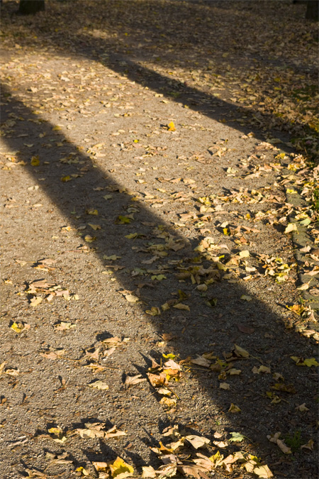 Herbst_Schatten