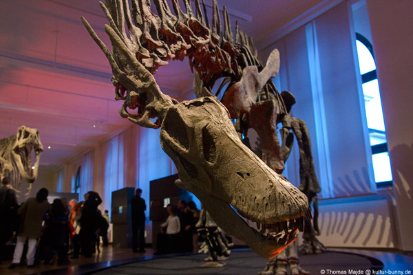 Dinosaurier_Amargasaurus_Cazauii
