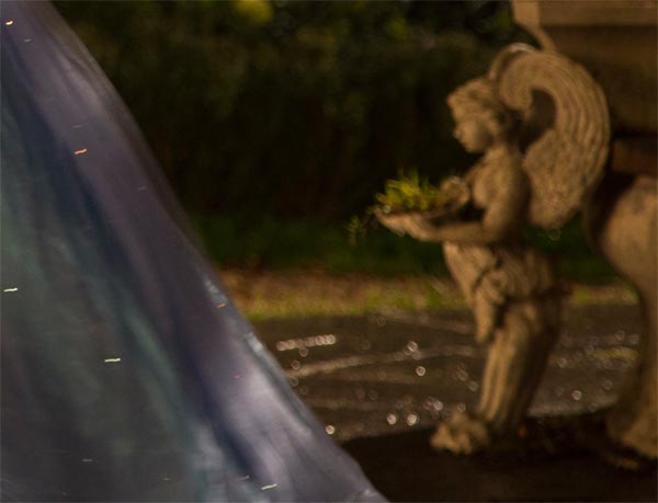 Die Kostüme zu Cinderella